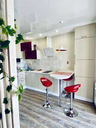 Апартаменты Flat 11 mirrors Винница Апартаменты с 1 спальней-19